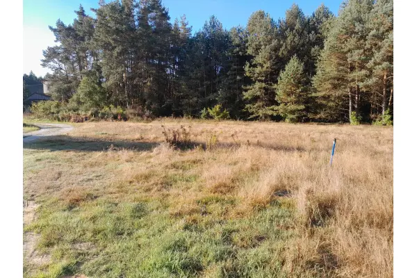 Niwy, Daleszyce, Działka na sprzedaż